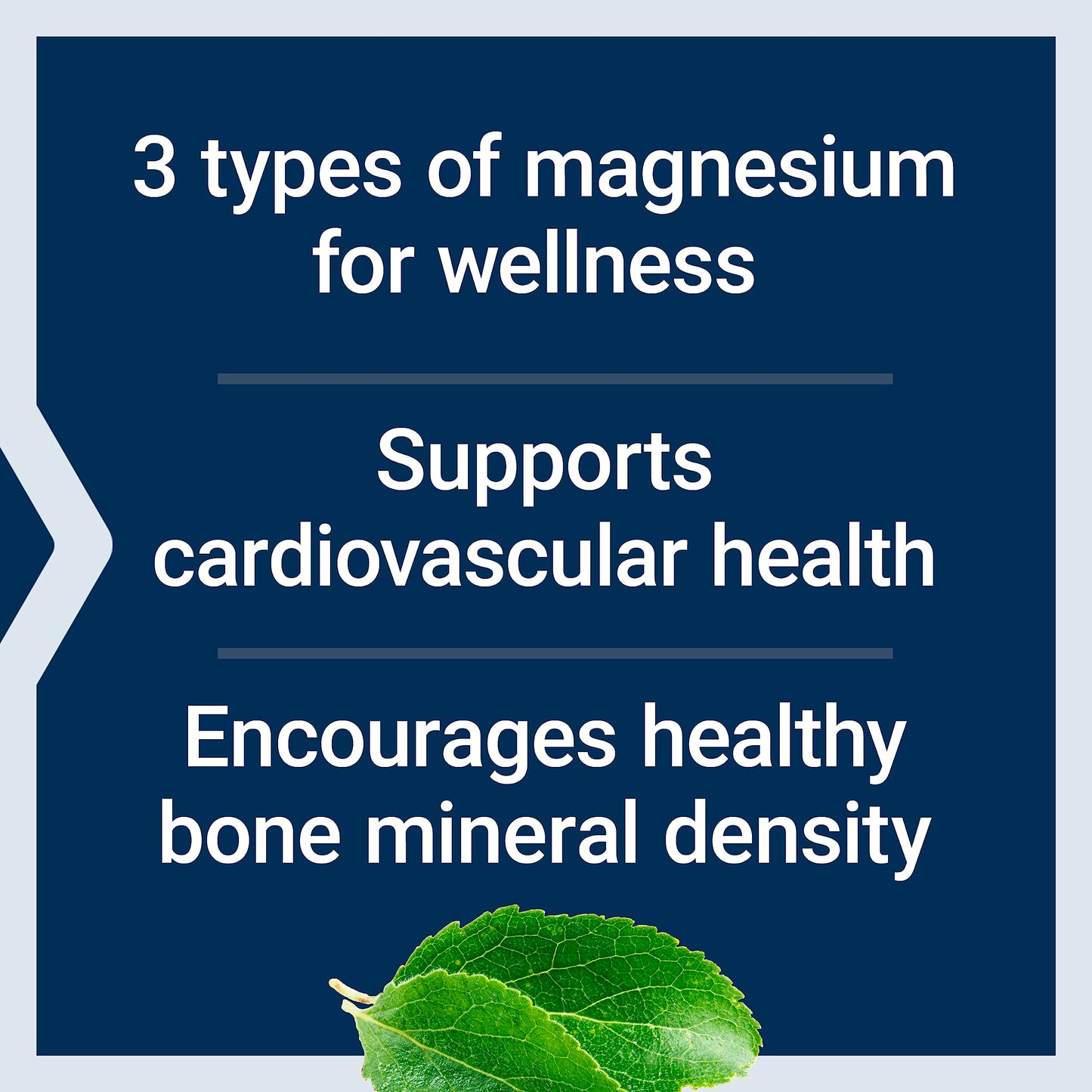 Pre-Order | Arrives in 5–10 Days – Life Extension Magnesium Caps, 500 mg, Magnesium Oxide, Citrate, and Succinate, Heart Health, Healthy Bones, Metabolism Support, 100 Vegetarian Capsules