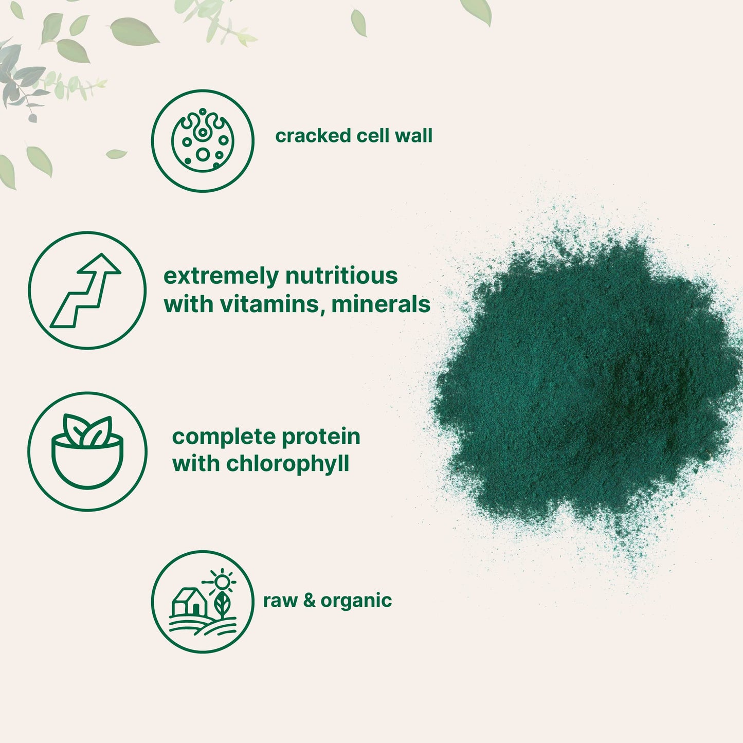 Pre-Order | Arrives in 5–10 Days – Micro Ingredients Organic Chlorella Powder, 10 Ounce, Broken Cell Wall, Rich in Vegan Proteins & Vitamins, Raw, Bulk Premium Chlorella Supplement, Vegan Friendly, Non-Irradiation