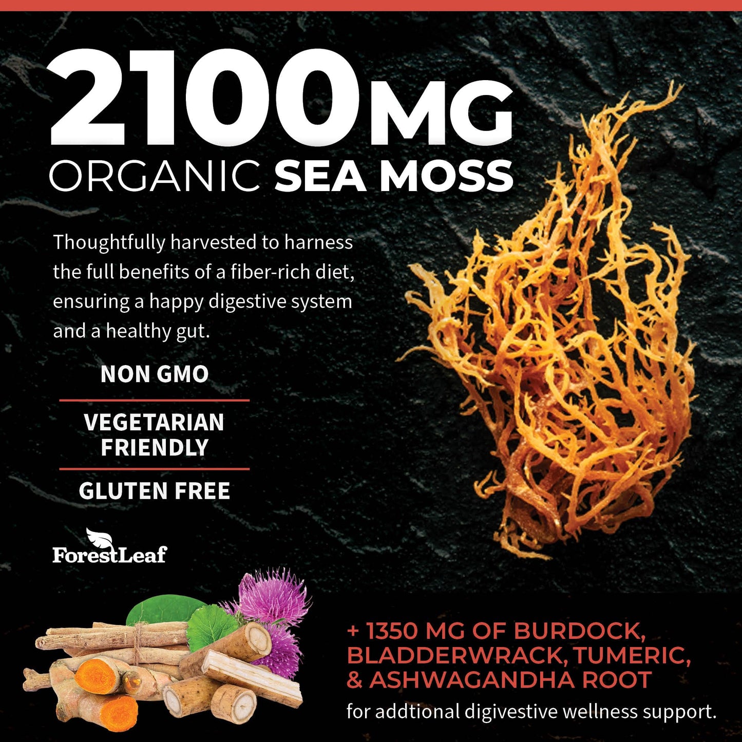 Pre-Order | Arrives in 5–10 Days – ForestLeaf Organic Irish Sea Moss Capsules | 2100mg Raw Seamoss Pills Advanced Supplement Superfood + Burdock, Bladderwrack for Digestive, Respiratory, Immune Health | 90 Vegan Organic Sea Moss Caps
