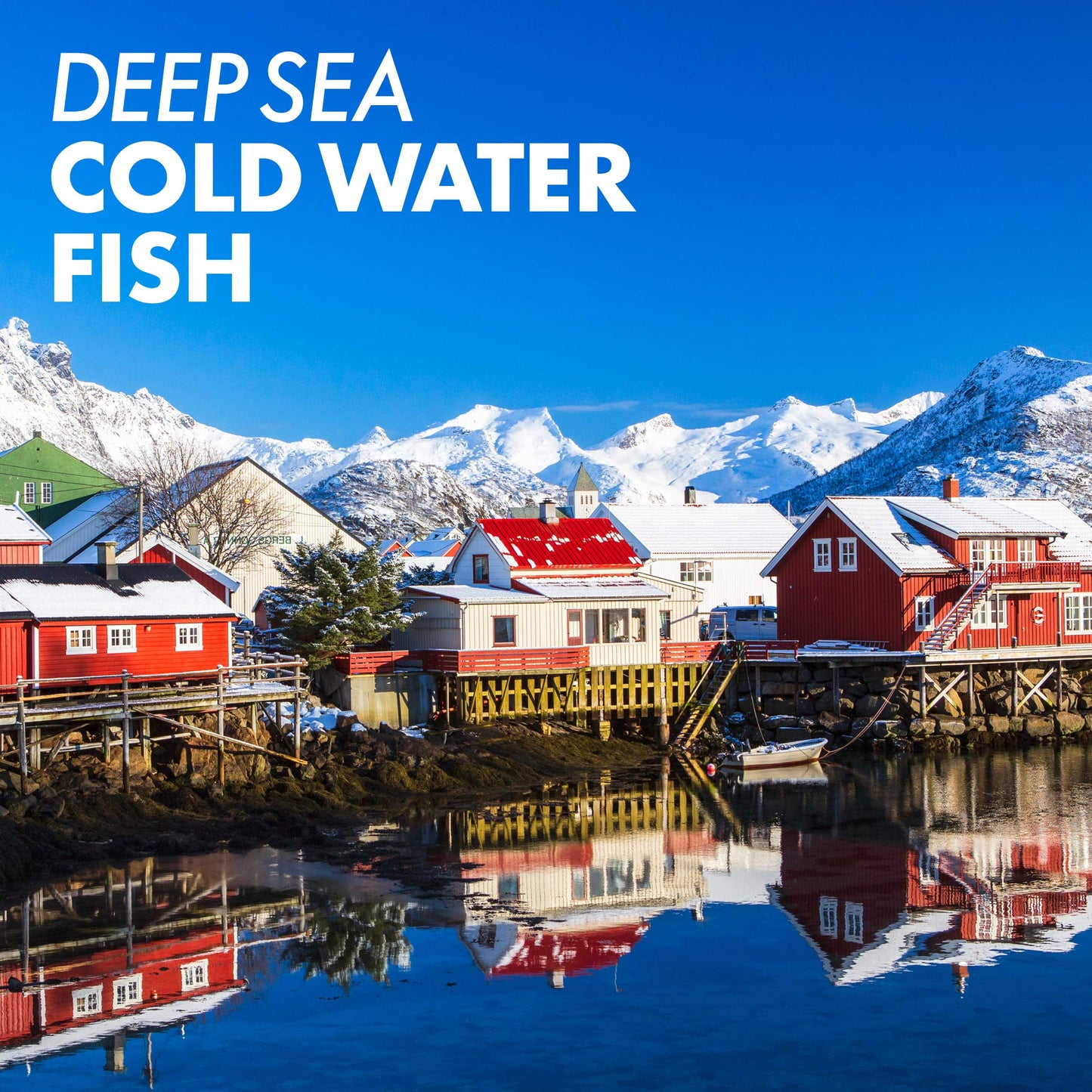 Pre-Order | Arrives in 5–10 Days – Bluebonnet Nutrition Vitamin A & D3 10,000 IU/400 IU from Deep Sea, Cold Water, Fish Oil - For Eye Health & Immune Function* - Gluten Free -Dairy Free -Molecularly Distilled -100 Softgel/100 Servings