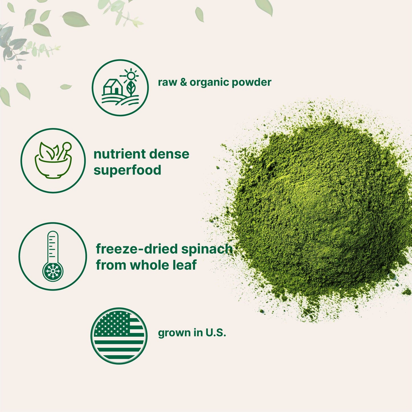 Pre-Order | Arrives in 5–10 Days – Micro Ingredients Sustainably US Grown, Organic Spinach Powder, 1 Pound, Freeze Dried from Whole Leaf, Rich in Beneficial Thylakoids and Chlorophyll, Contains Multivitamins, Non-GMO, Vegan Friendly