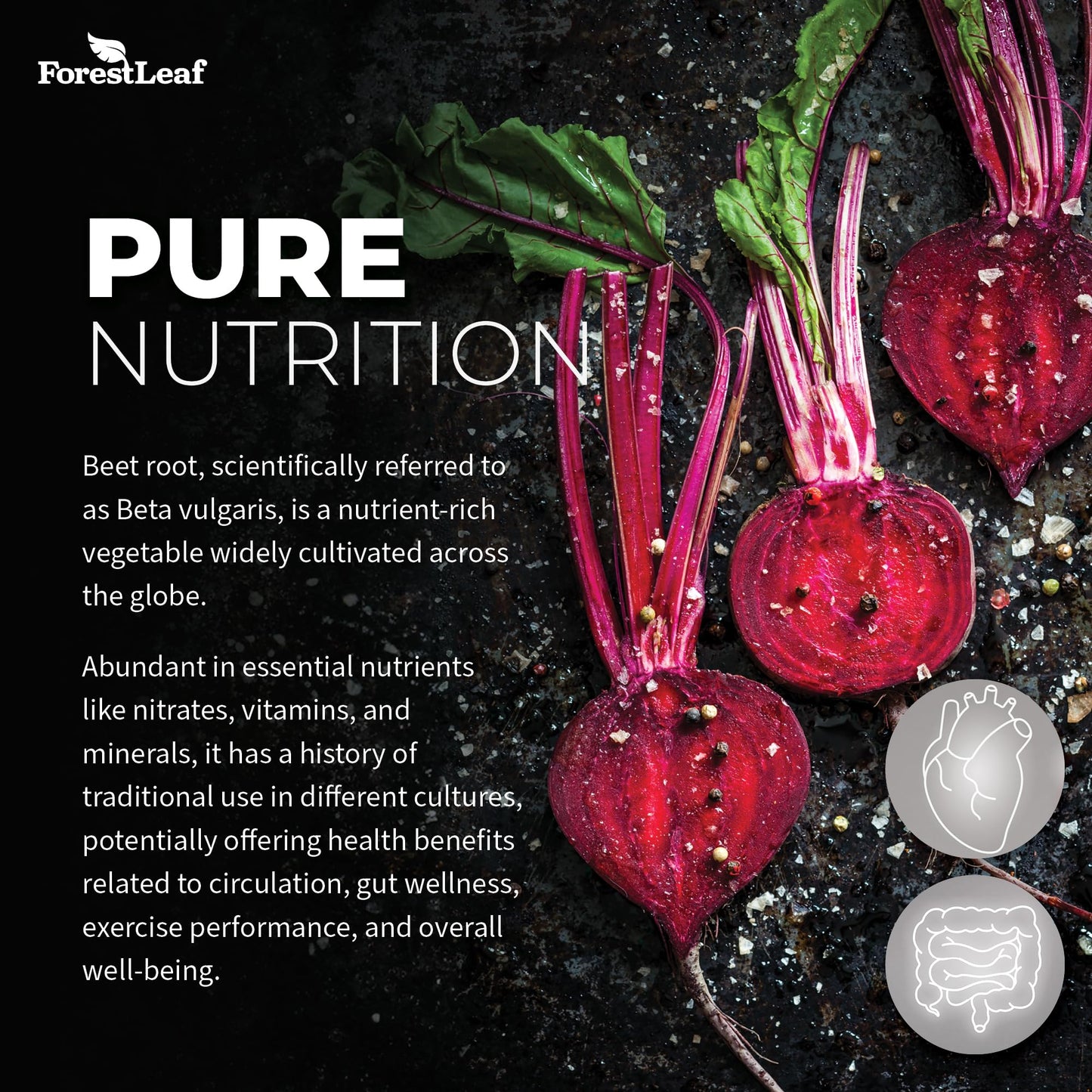 Pre-Order | Arrives in 5–10 Days – ForestLeaf Organic Beet Root Capsules - with Ginger & Grape Seed 16000mg Strength 20:1 Extract, Supports Nitric Oxide Production, Beets Supplements with Organic Non-GMO Beetroot Powder 120 Veggie Caps