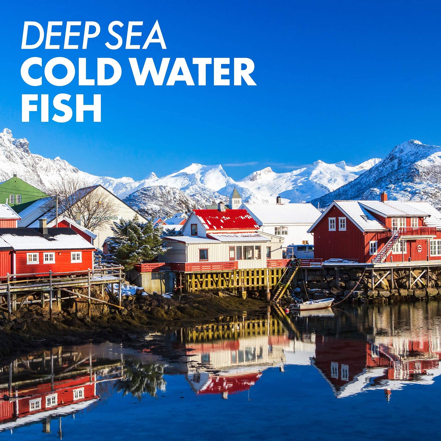 Pre-Order | Arrives in 5–10 Days – Bluebonnet Nutrition Vitamin A 10,000 IU from Deep Sea, Cold Water, Fish Oil - For Eye Health & Immune Function* - Gluten Free - Dairy Free - Molecularly Distilled - 100 Softgels - 100 Servings