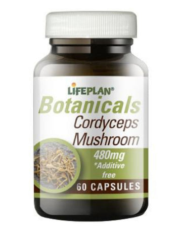 LIFEPLAN BOTANICALS CORDYCEPS MUSHROOM 480MG, 60 CAPSULES