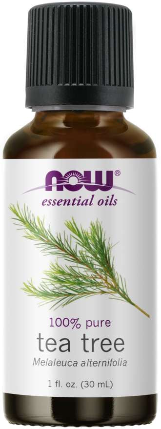 NOW ESSENTIAL OIL TEA TREE  - 1 FL OZ (30 ML) - E-Pharmacy Ghana